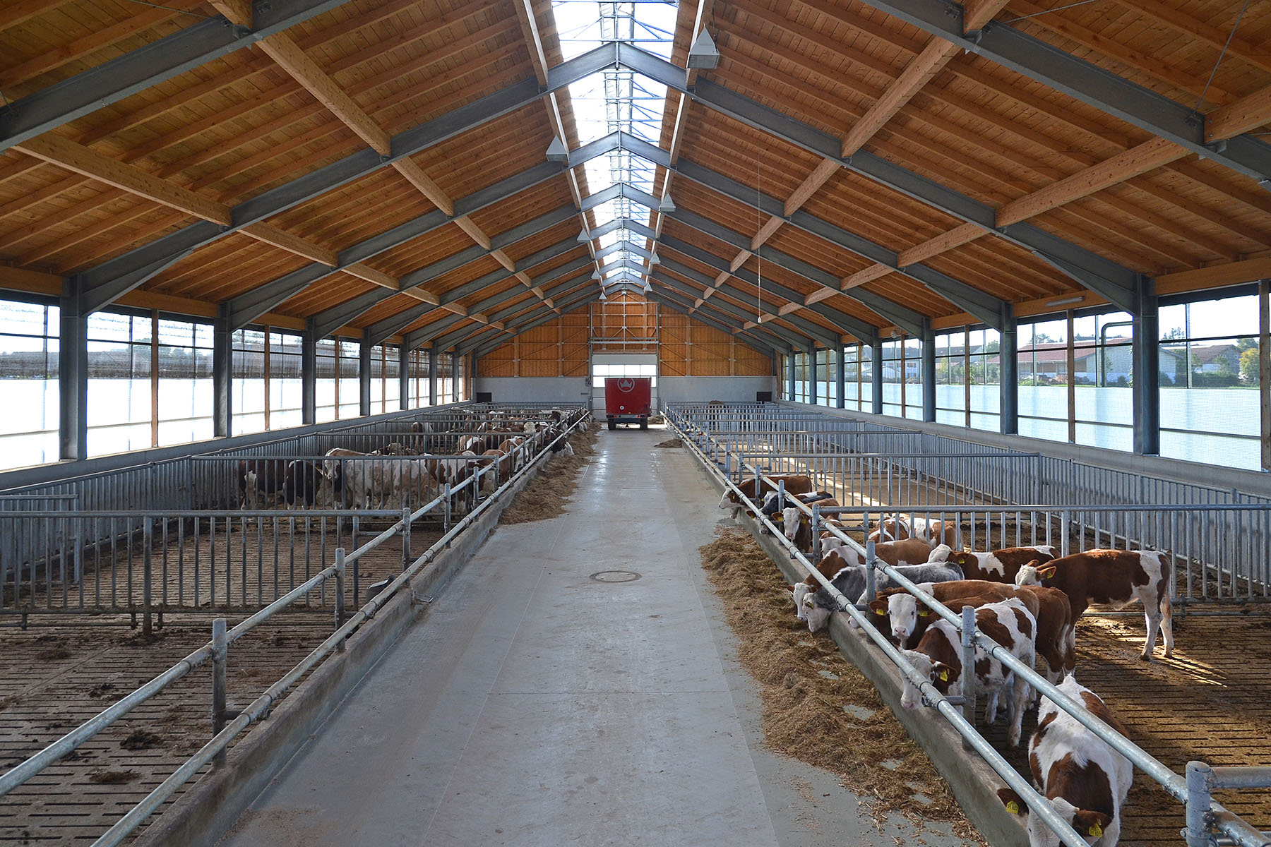 Bullenstall Agrarbau Referenzen wolfsystem.de