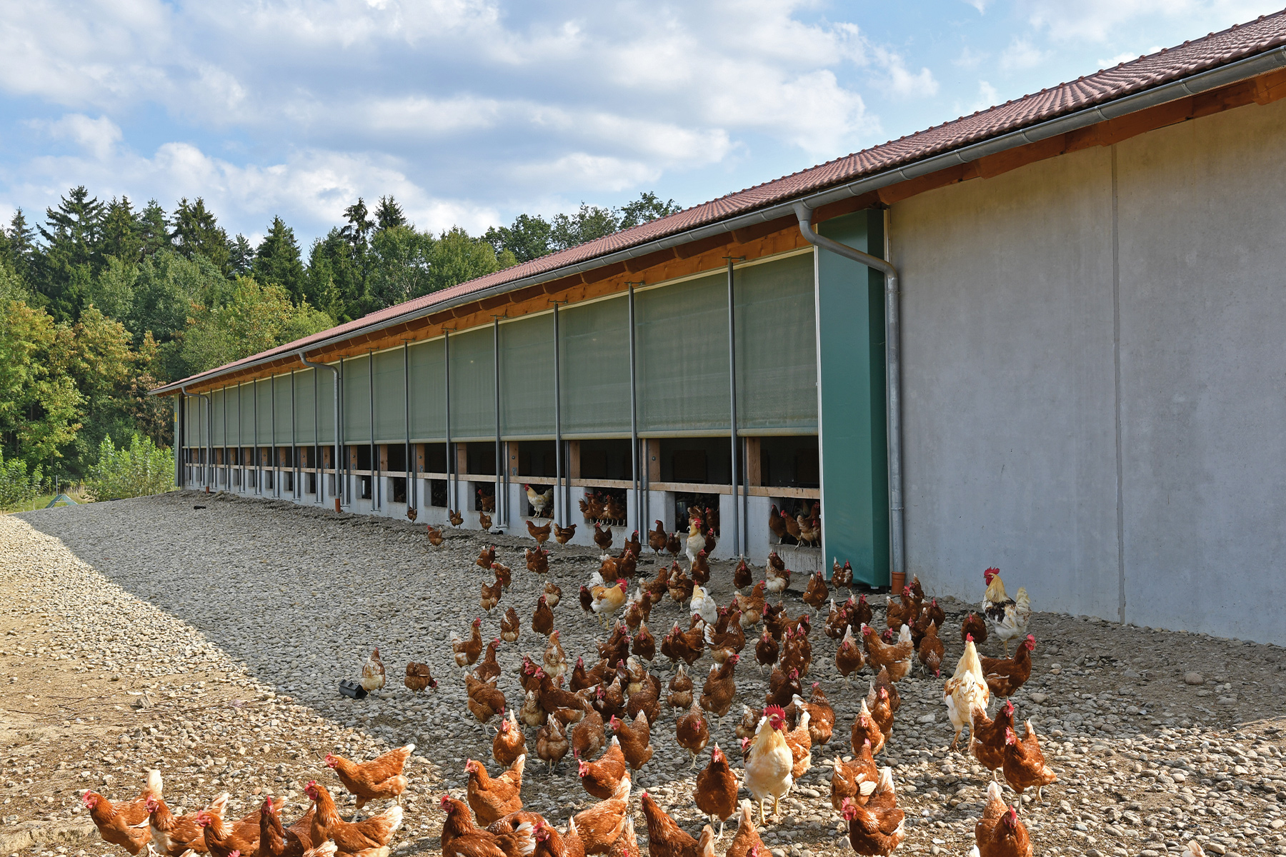 Biohennenstall