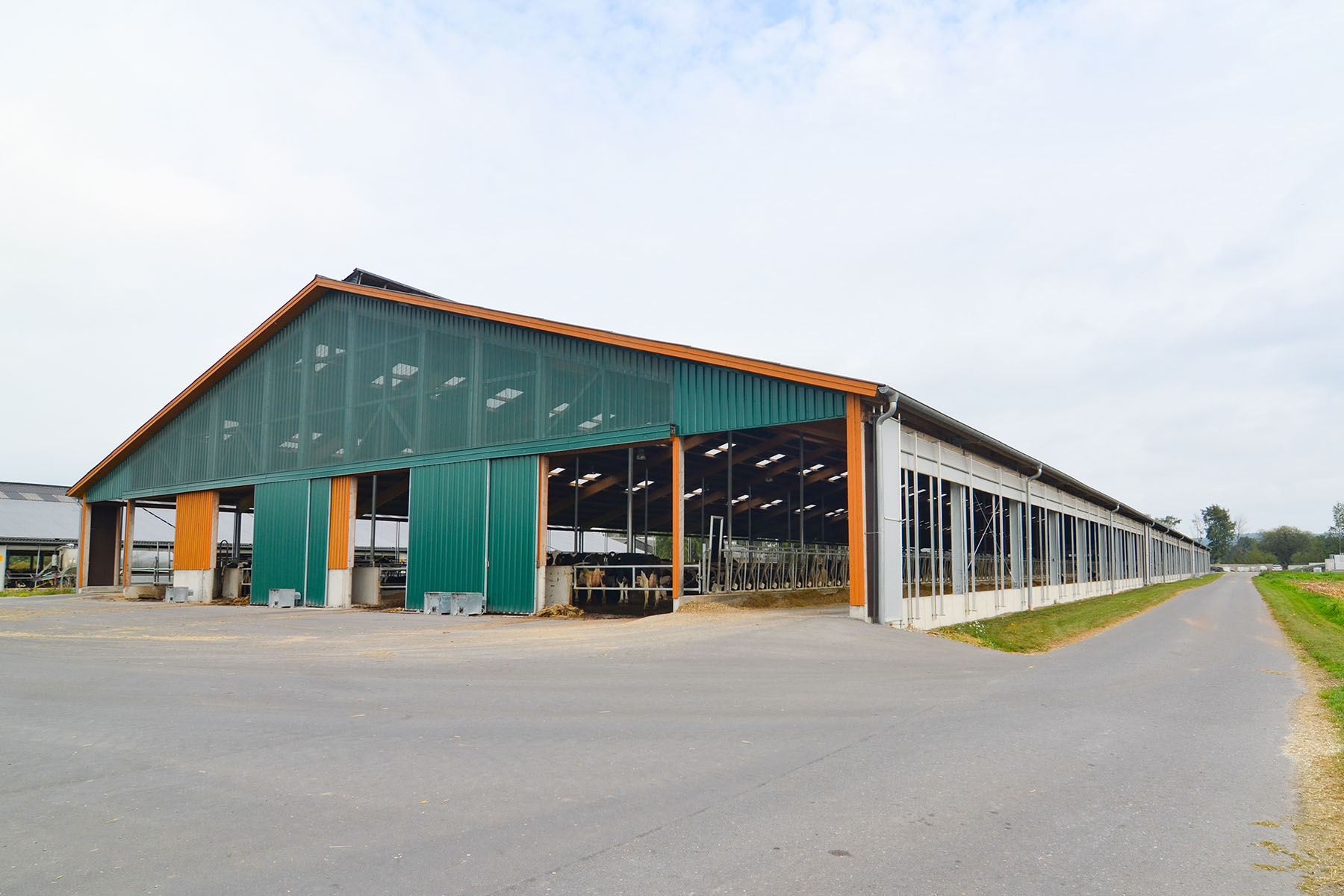 Boxenlaufstall