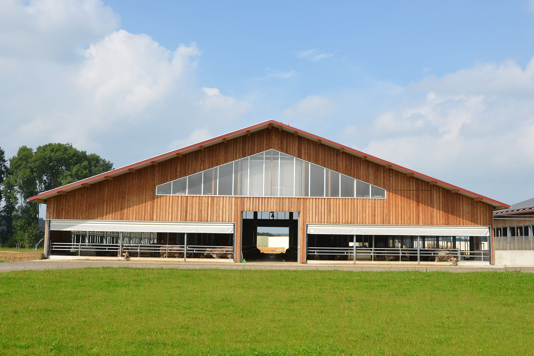 Milchviehstall holzverschalt