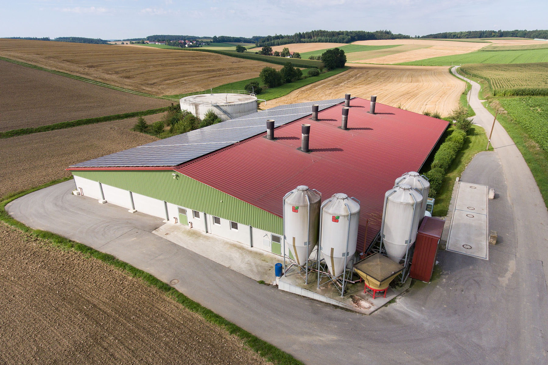 Schweinestall mit Lüftungskaminen