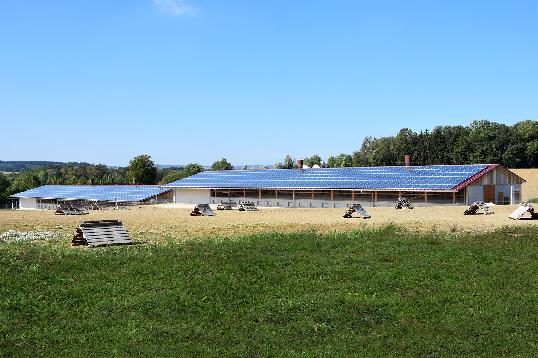 Legehennenstall mit Photovoltaikanlage