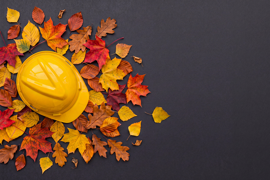 Herbstblätter, Bauhelm