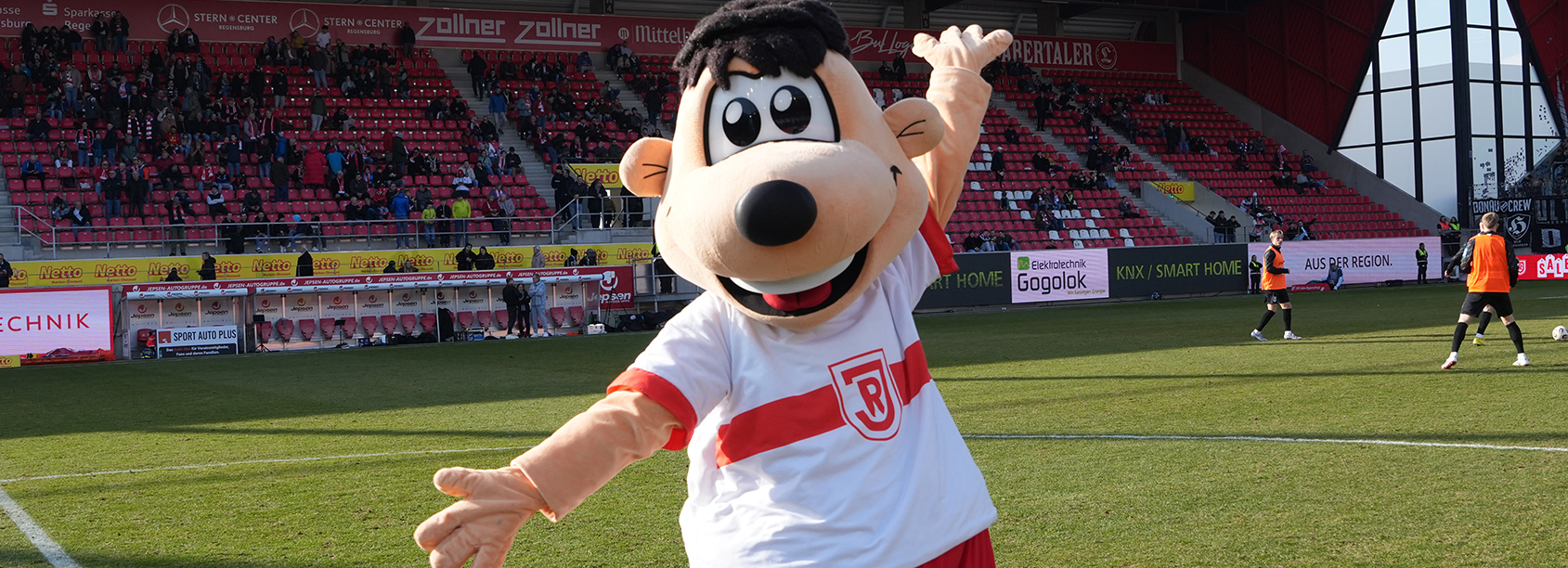 Maskottchen SSV Jahn im Stadion