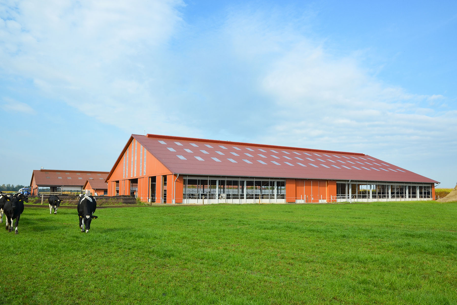 Milchviehstall mit Seitenlüftung