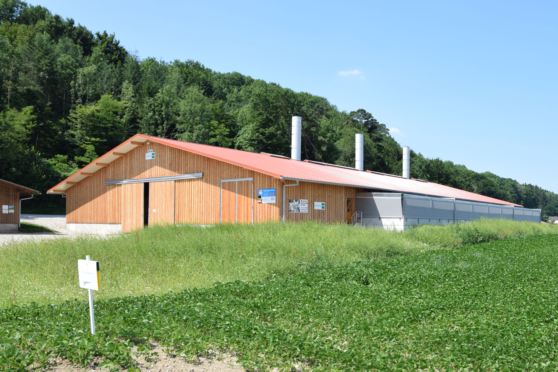 Schweinestall mit Holzverkleidung