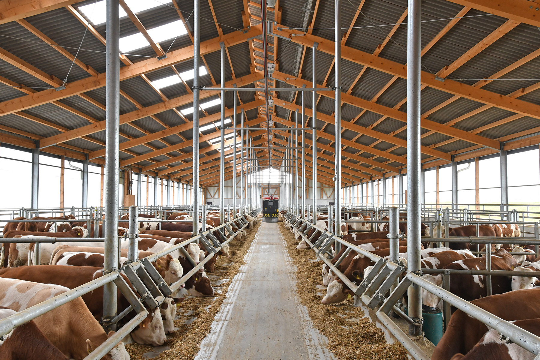 Bullenstall Stahl-Holz-Rahmen