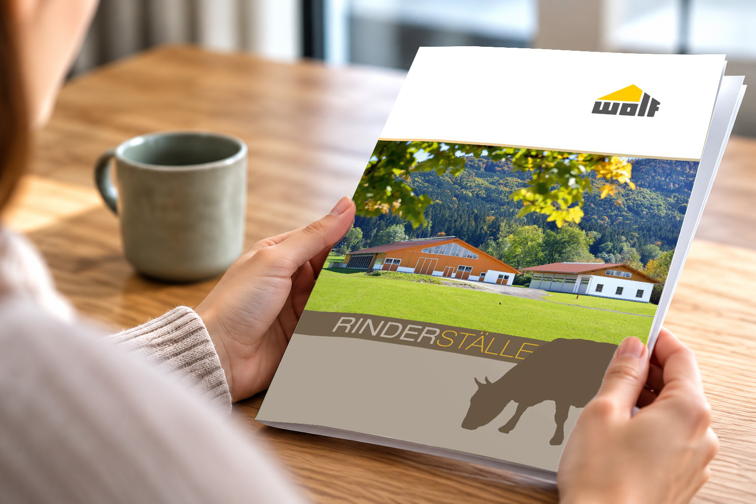 Prospekte Rinderstall