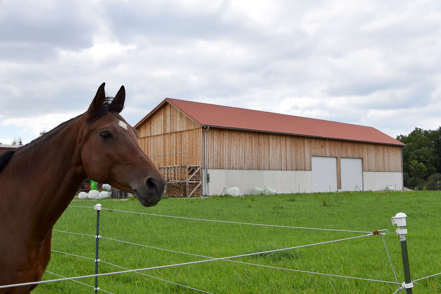 Bergehalle mit Pferd